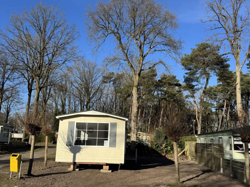 20260124_131122513_iOS