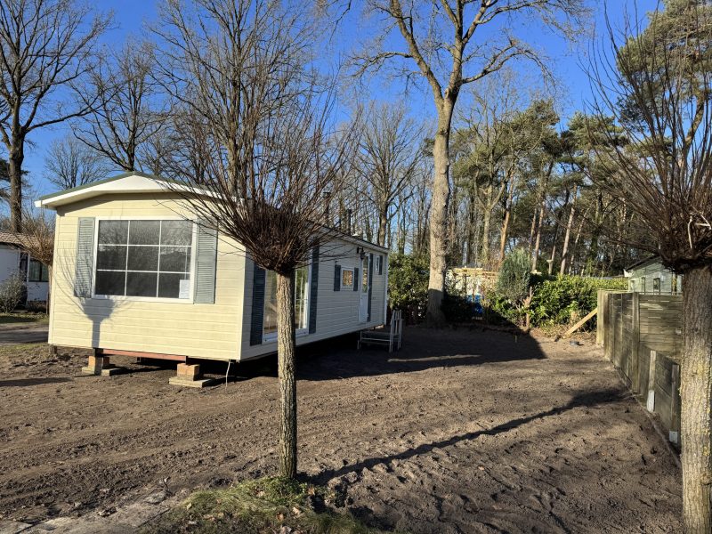 20260124_131137686_iOS