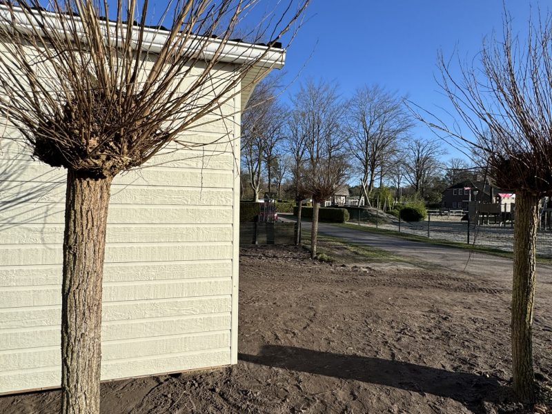 20260124_131543672_iOS